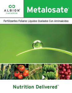 plant_2013_metalosate_brochure_spv1_final_pagina_01