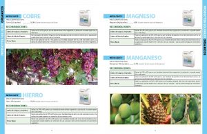 plant_2013_metalosate_brochure_spv1_final_pagina_10